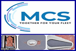 mcs group